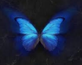 What is the Butterfly Effect? Here is a simple explanation!