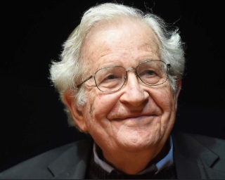 What are some criticisms of Noam Chomsky?