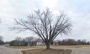 An image of Mendota Heights, MN