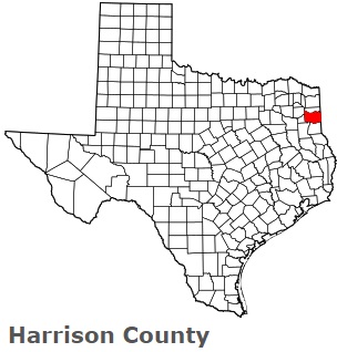 Harrison 44 