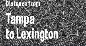 The distance from Tampa, Florida 
to Lexington, Kentucky