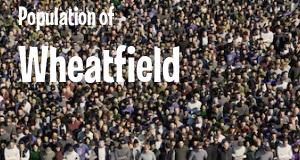 Population of Wheatfield, NY