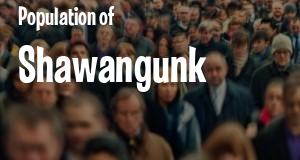 Population of Shawangunk, NY