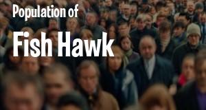Population of Fish Hawk, FL