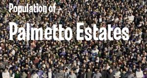 Population of Palmetto Estates, FL