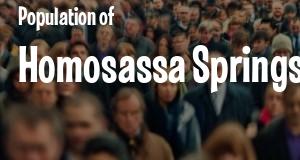 Population of Homosassa Springs, FL