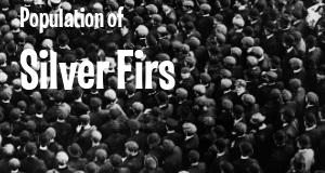 Population of Silver Firs, WA
