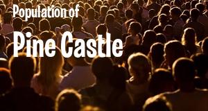 Population of Pine Castle, FL
