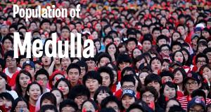 Population of Medulla, FL