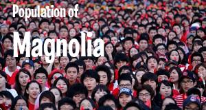 Population of Magnolia, AR