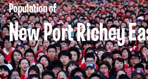 Population of New Port Richey East, FL