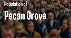 Population of Pecan Grove, TX