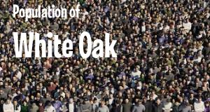 Population of White Oak, OH