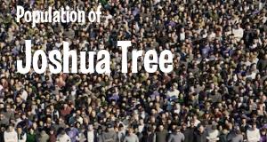 Population of Joshua Tree, CA