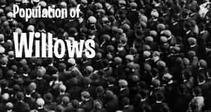 Population of Willows, CA