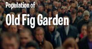 Population of Old Fig Garden, CA