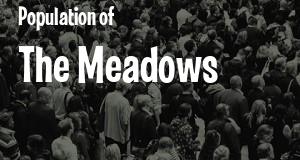 Population of The Meadows, FL