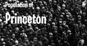 Population of Princeton, IL