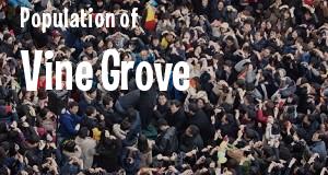 Population of Vine Grove, KY