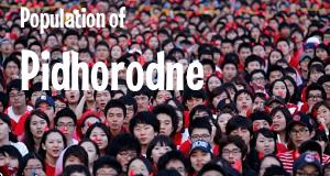Population of Pidhorodne