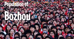 Population of Bozhou