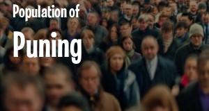 Population of Puning