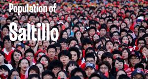 Population of Saltillo