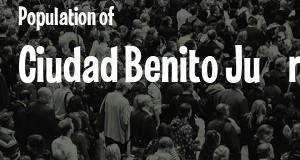 Population of Ciudad Benito Juárez