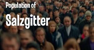 Population of Salzgitter