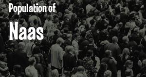 Population of Naas
