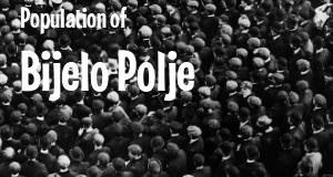 Population of Bijelo Polje