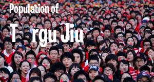 Population of Târgu Jiu