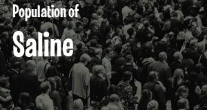 Population of Saline, MI