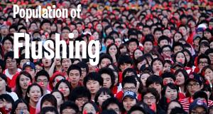Population of Flushing, MI