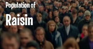 Population of Raisin, MI