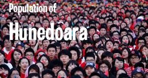 Population of Hunedoara