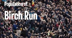 Population of Birch Run, MI