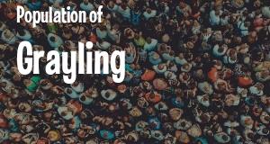 Population of Grayling, MI