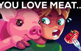 You Love Meat ...But You Also Love Animals?