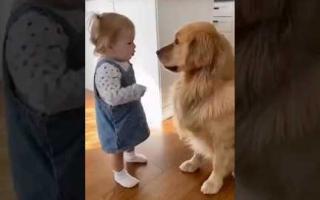 Girl goes off hard on her doggy