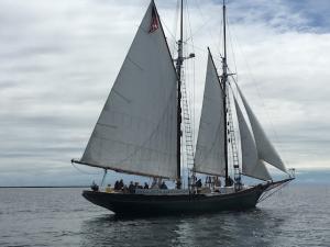 Schooner Adventure photo