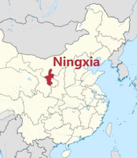 Ningxia region photo