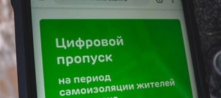 карантин