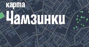 Чамзинка