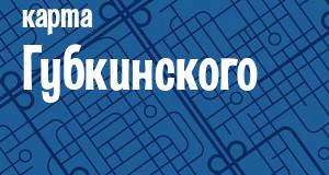 Губкинский
