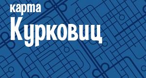 Курковицы