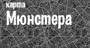 Мюнстер