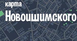 Новоишимское