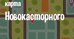 Новокасторное