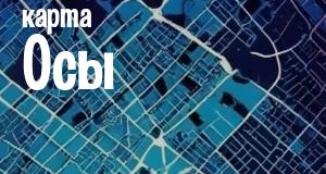 Оса
